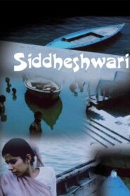 Siddheshwari 1990 one on netflix