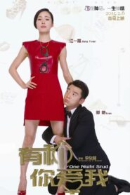 One Night Stud 2015 one on netflix