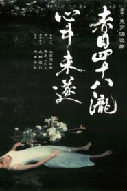 Akame 48 Waterfalls 2003 one on netflix