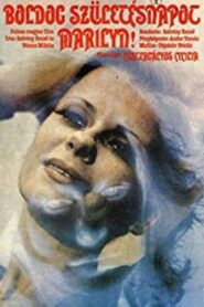 Happy Birthday, Marilyn! 1980 one on netflix