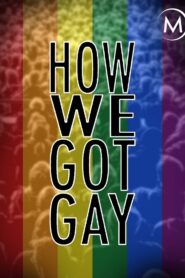How We Got Gay 2013 one on netflix