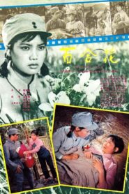 Bai he hua 1981 one on netflix