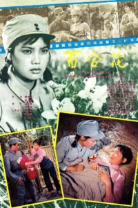 Bai he hua 1981 one on netflix