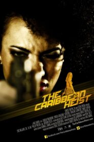 The Caribbean Heist 2013 one on netflix