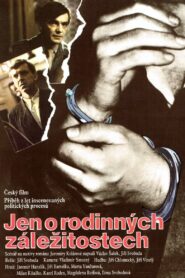 Jen o rodinných záležitostech 1991 one on netflix