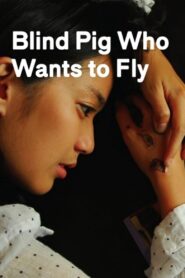 Blind Pig Who Wants to Fly 2008 one on netflix
