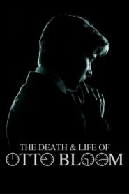 The Death and Life of Otto Bloom 2017 one on netflix