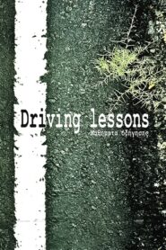 Driving Lessons 2013 one on netflix