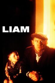 Liam 2001 one on netflix