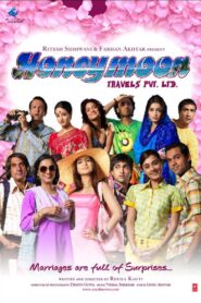 Honeymoon Travels Pvt. Ltd. 2007 one on netflix