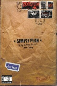 Simple Plan: A Big Package for You 2003 one on netflix