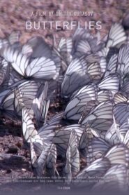 Butterflies 2016 one on netflix