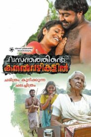 Vasanthathinte Kanal Vazhikalil 2014 one on netflix