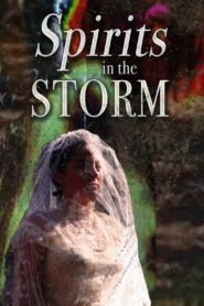 Spirits in the Storm 2019 one on netflix