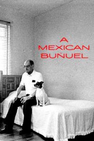 A Mexican Buñuel 1997 one on netflix