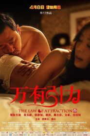 The Law of Attraction 2011 one on netflix