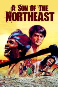 A Son of the Northeast 1982 one on netflix