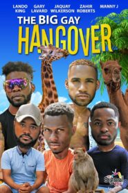 The Big Gay Hangover 2017 one on netflix