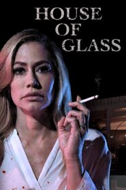 House of Glass 2021 one on netflix