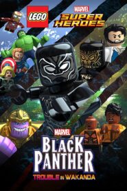 LEGO Marvel Super Heroes: Black Panther – Trouble in Wakanda 2018 one on netflix