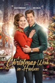 A Christmas Wish in Hudson 2021 one on netflix