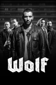 Wolf 2013 one on netflix