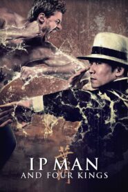 Ip Man and Four Kings 2019 one on netflix