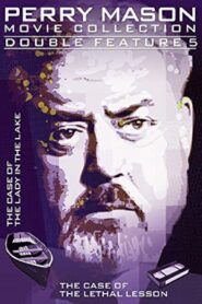 Perry Mason: The Case of the Lady in the Lake 1988 one on netflix