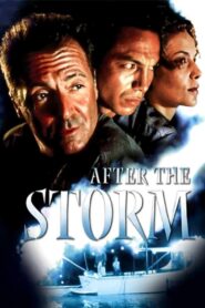 After the Storm 2001 one on netflix