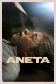 Aneta 2024 one on netflix