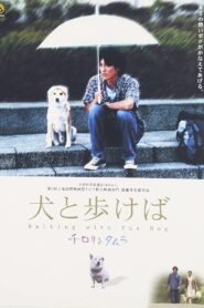 Walking With The Dog 2004 one on netflix