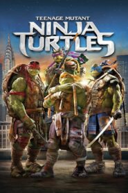 Teenage Mutant Ninja Turtles 2014 one on netflix