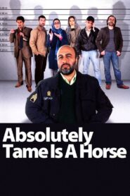 Absolutely Tame Is a Horse 2011 one on netflix