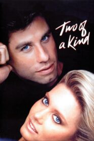 Two of a Kind 1983 one on netflix