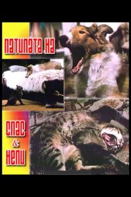 The Adventures of Spas and Nelly 1989 one on netflix