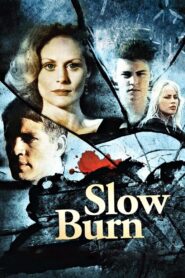 Slow Burn 1986 one on netflix