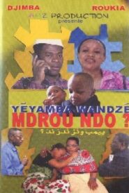 Yéyamba Wandzé Mdrou Ndo? 2000 one on netflix