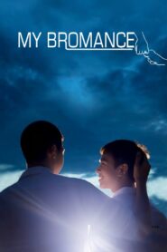 My Bromance 2014 one on netflix