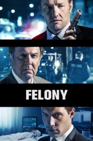 Felony 2014 one on netflix