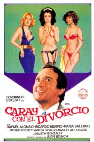 Hooray for Divorce! 1982 one on netflix