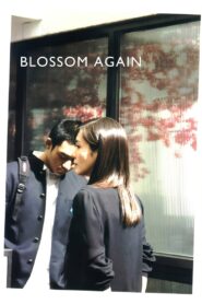Blossom Again 2005 one on netflix