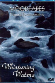 Moodtapes: Whispering Waters 1992 one on netflix