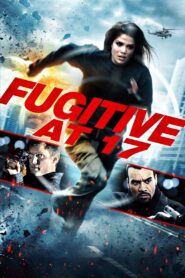 Fugitive at 17 2012 one on netflix