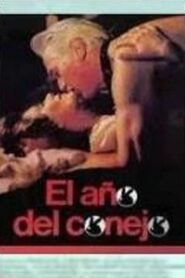 El año del conejo 1987 one on netflix