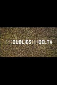 Les oubliés du Delta 2024 one on netflix