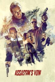 Assassin’s Vow 2007 one on netflix