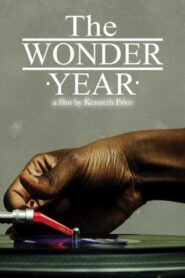 The Wonder Year 2011 one on netflix