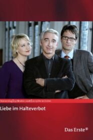 Liebe im Halteverbot 2008 one on netflix