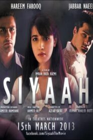 Siyaah 2013 one on netflix