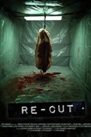 Re-Cut 2010 one on netflix